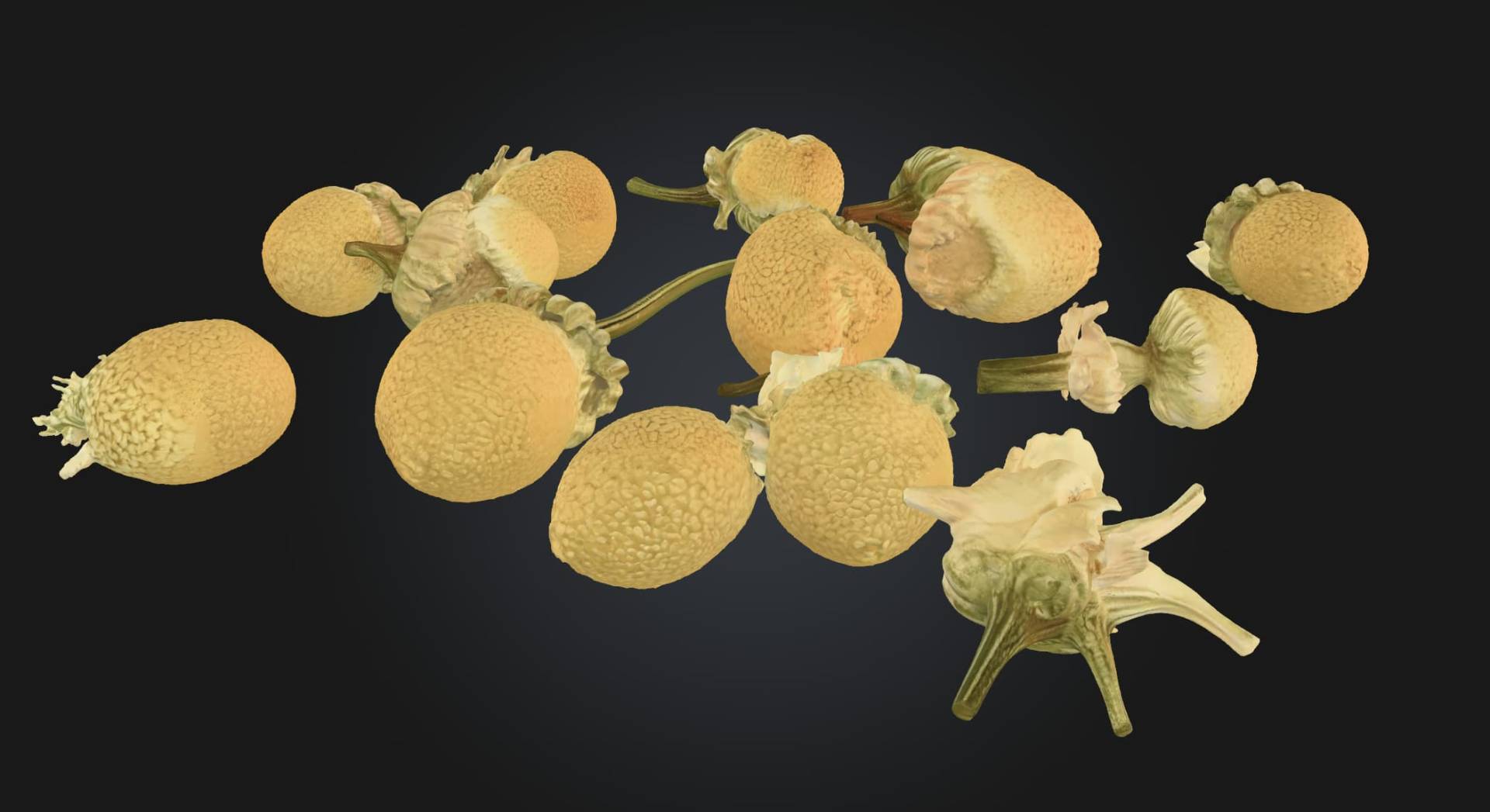 Dried chamomile blossoms