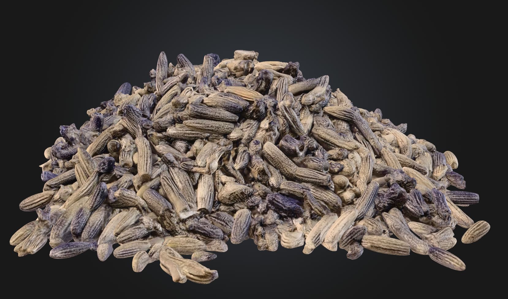 Pile of dried lavender buds